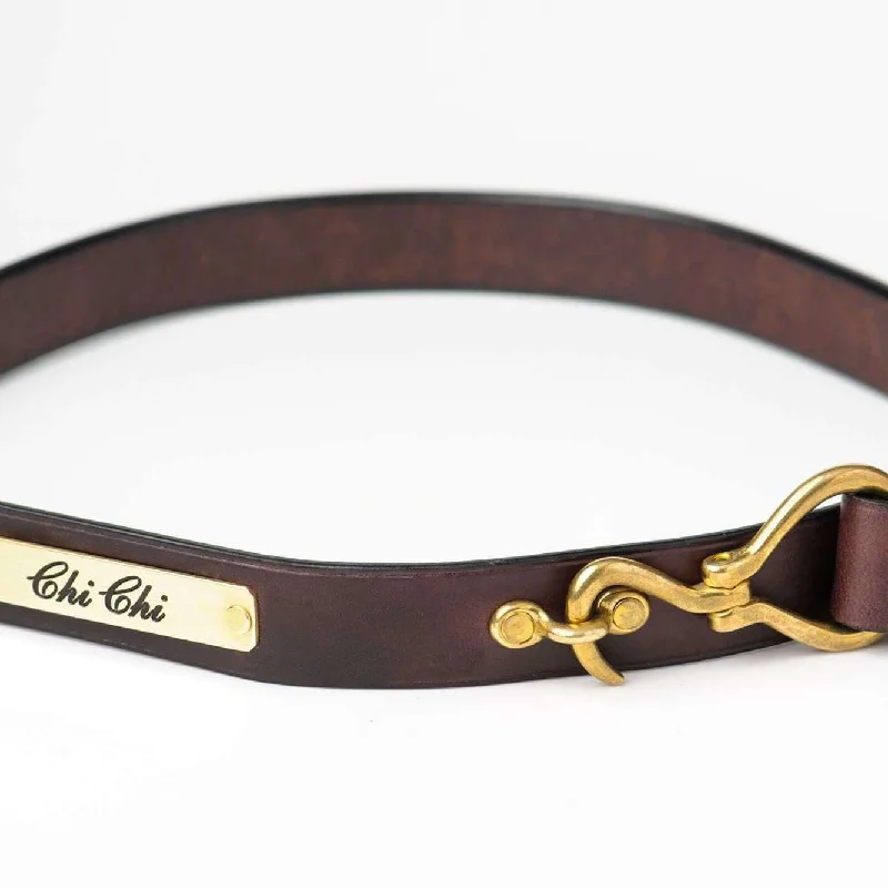 Premium Brown Equis Pick Belt